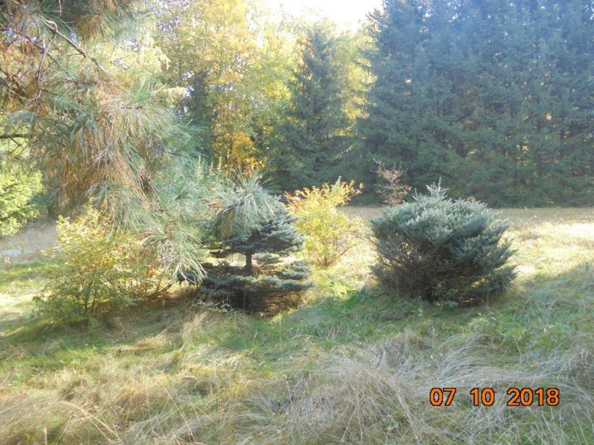 Lądek-ZdrójWojtowka 16别墅 外观 照片